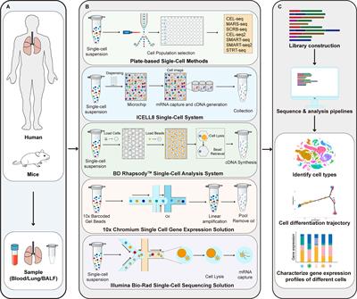Single-cell RNA-sequencing in asthma research